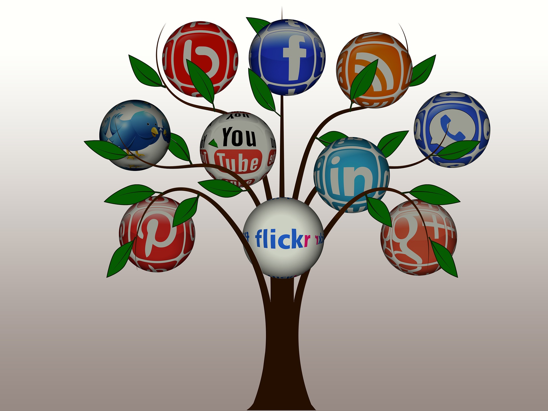 Which Social Media Platforms Your Business Should Be On