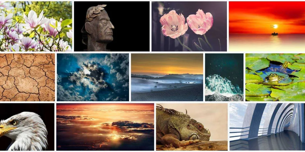 Where to download Free Images