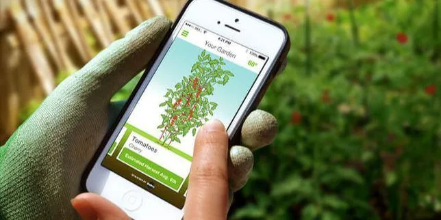 Top 7 Online resources for Gardeners