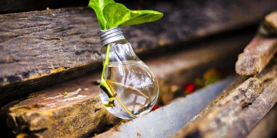 Your Digital Carbon Footprint
