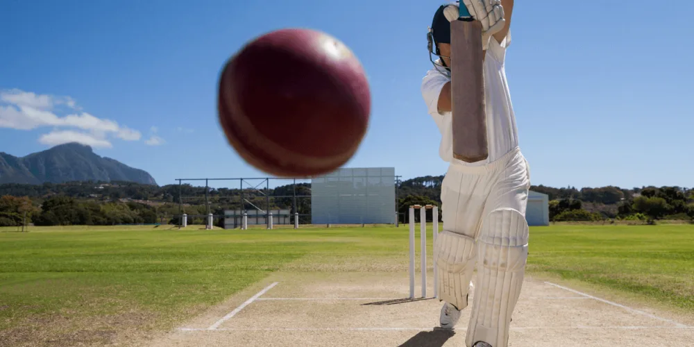 We don’t like cricket – We LOVE it! How to stream the match at work