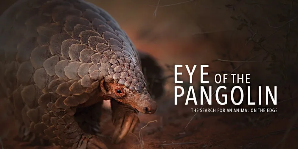 #running4pangolins 2020 – Are you with us?