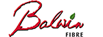 balwin logo